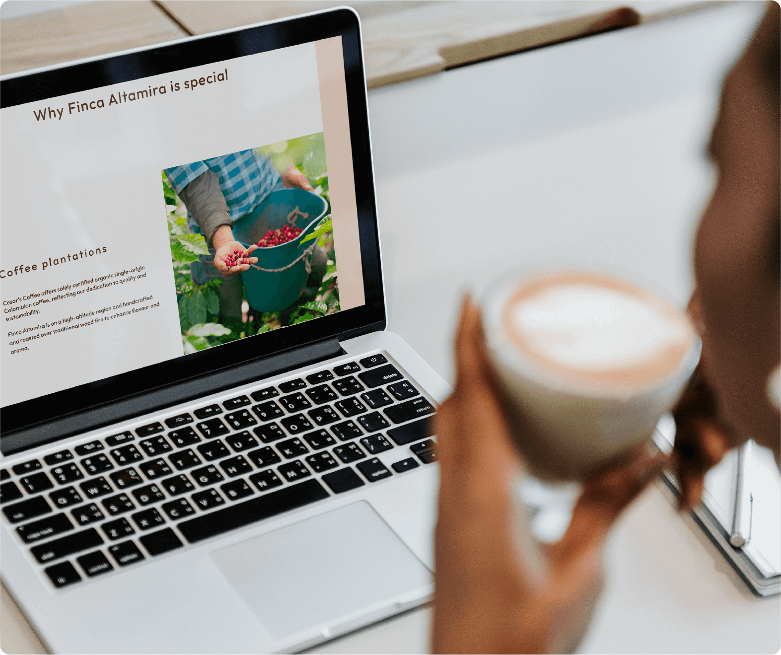 Images de muestra del desarrollo de la web de Cessar's Coffee Cup